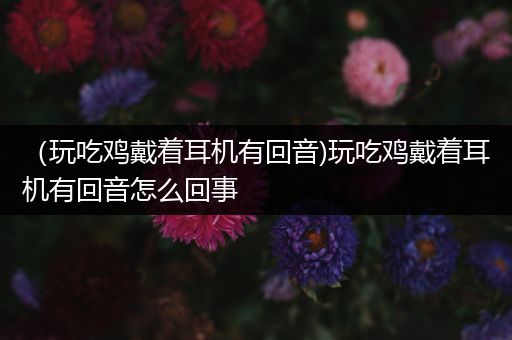 （玩吃鸡戴着耳机有回音)玩吃鸡戴着耳机有回音怎么回事