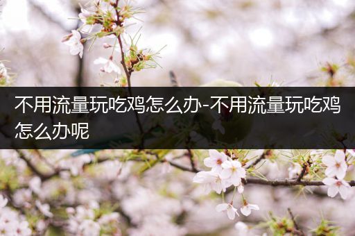 不用流量玩吃鸡怎么办-不用流量玩吃鸡怎么办呢