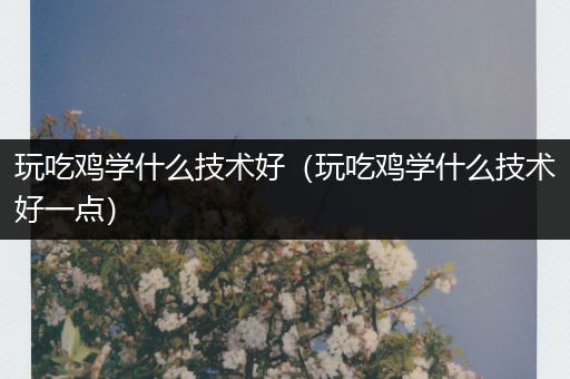 玩吃鸡学什么技术好（玩吃鸡学什么技术好一点）