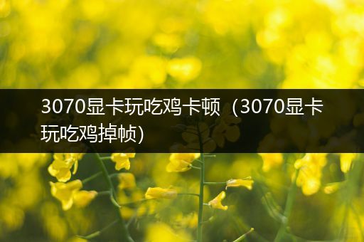 3070显卡玩吃鸡卡顿（3070显卡玩吃鸡掉帧）