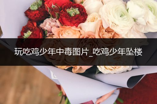 玩吃鸡少年中毒图片_吃鸡少年坠楼