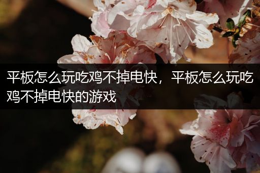 平板怎么玩吃鸡不掉电快，平板怎么玩吃鸡不掉电快的游戏
