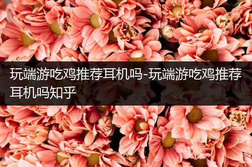 玩端游吃鸡推荐耳机吗-玩端游吃鸡推荐耳机吗知乎