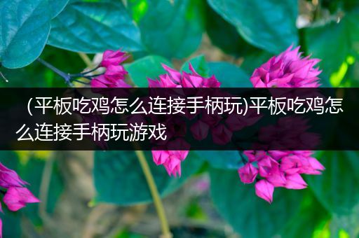 （平板吃鸡怎么连接手柄玩)平板吃鸡怎么连接手柄玩游戏
