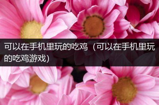可以在手机里玩的吃鸡（可以在手机里玩的吃鸡游戏）