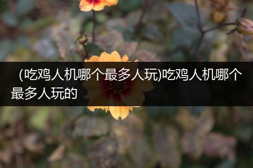 （吃鸡人机哪个最多人玩)吃鸡人机哪个最多人玩的
