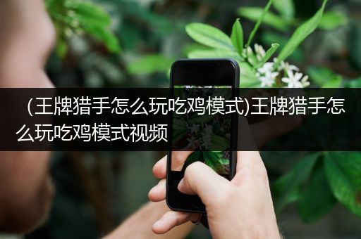 （王牌猎手怎么玩吃鸡模式)王牌猎手怎么玩吃鸡模式视频