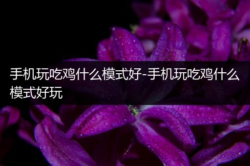 手机玩吃鸡什么模式好-手机玩吃鸡什么模式好玩