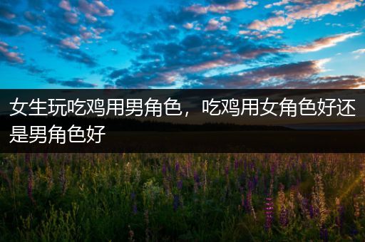 女生玩吃鸡用男角色，吃鸡用女角色好还是男角色好