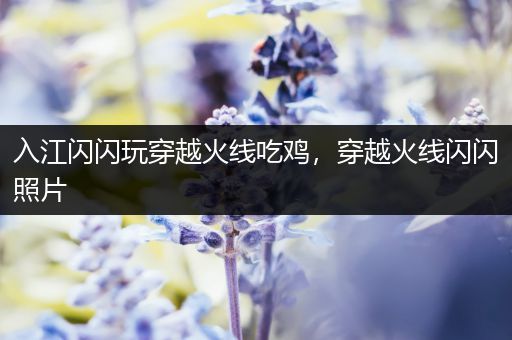 入江闪闪玩穿越火线吃鸡，穿越火线闪闪照片
