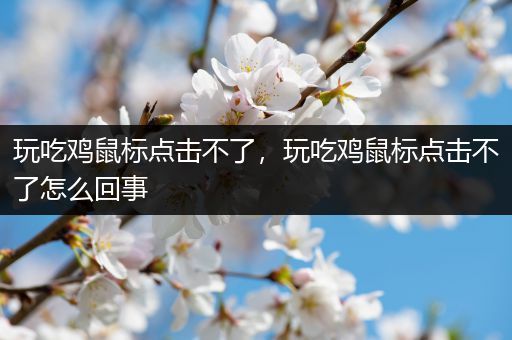 玩吃鸡鼠标点击不了，玩吃鸡鼠标点击不了怎么回事