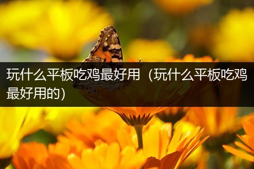 玩什么平板吃鸡最好用（玩什么平板吃鸡最好用的）
