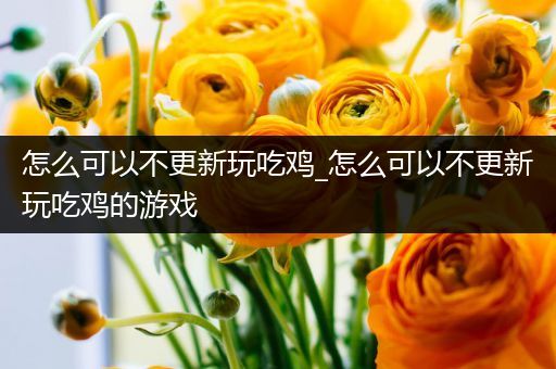 怎么可以不更新玩吃鸡_怎么可以不更新玩吃鸡的游戏