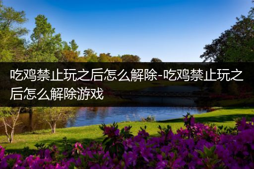 吃鸡禁止玩之后怎么解除-吃鸡禁止玩之后怎么解除游戏