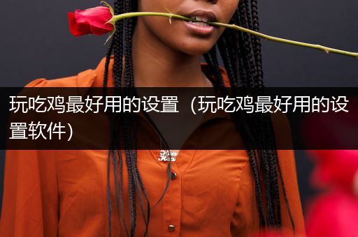 玩吃鸡最好用的设置（玩吃鸡最好用的设置软件）