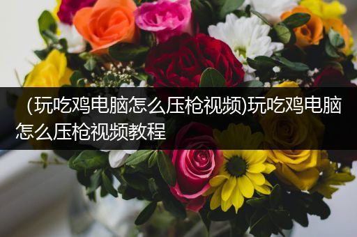 （玩吃鸡电脑怎么压枪视频)玩吃鸡电脑怎么压枪视频教程