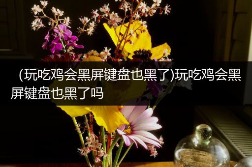 （玩吃鸡会黑屏键盘也黑了)玩吃鸡会黑屏键盘也黑了吗