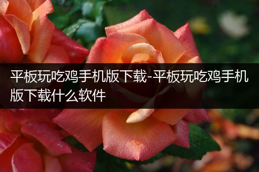 平板玩吃鸡手机版下载-平板玩吃鸡手机版下载什么软件