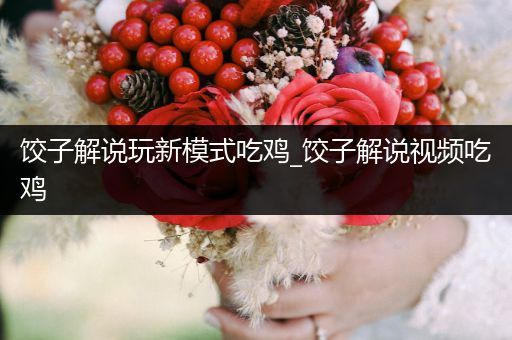 饺子解说玩新模式吃鸡_饺子解说视频吃鸡