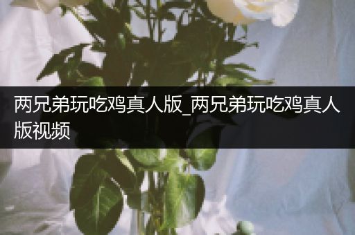 两兄弟玩吃鸡真人版_两兄弟玩吃鸡真人版视频