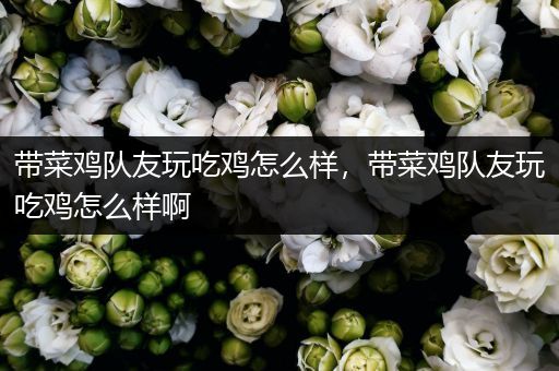 带菜鸡队友玩吃鸡怎么样，带菜鸡队友玩吃鸡怎么样啊