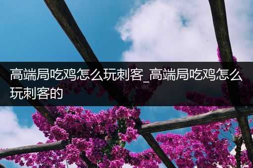 高端局吃鸡怎么玩刺客_高端局吃鸡怎么玩刺客的