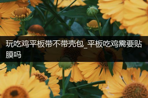 玩吃鸡平板带不带壳包_平板吃鸡需要贴膜吗