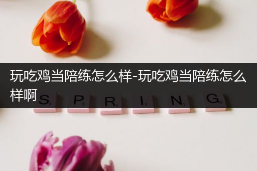 玩吃鸡当陪练怎么样-玩吃鸡当陪练怎么样啊