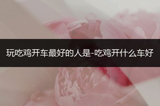 玩吃鸡开车最好的人是-吃鸡开什么车好