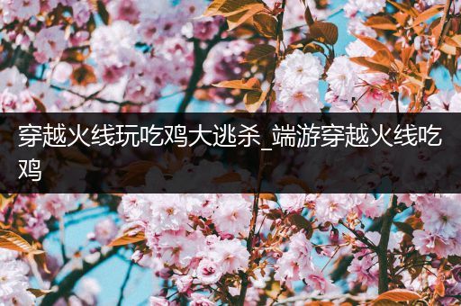 穿越火线玩吃鸡大逃杀_端游穿越火线吃鸡