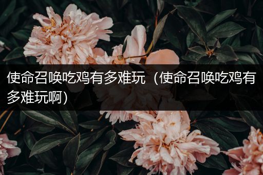 使命召唤吃鸡有多难玩（使命召唤吃鸡有多难玩啊）