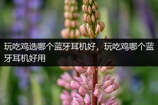 玩吃鸡选哪个蓝牙耳机好，玩吃鸡哪个蓝牙耳机好用