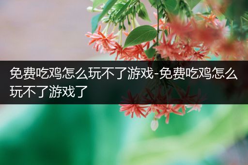 免费吃鸡怎么玩不了游戏-免费吃鸡怎么玩不了游戏了