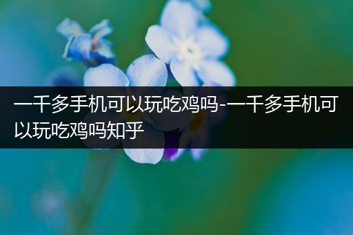 一千多手机可以玩吃鸡吗-一千多手机可以玩吃鸡吗知乎