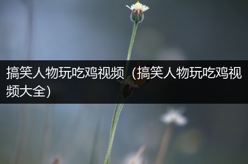 搞笑人物玩吃鸡视频（搞笑人物玩吃鸡视频大全）