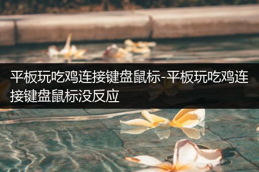 平板玩吃鸡连接键盘鼠标-平板玩吃鸡连接键盘鼠标没反应