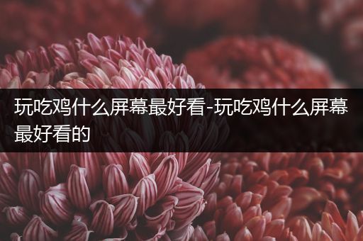 玩吃鸡什么屏幕最好看-玩吃鸡什么屏幕最好看的