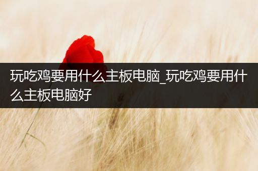 玩吃鸡要用什么主板电脑_玩吃鸡要用什么主板电脑好
