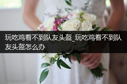 玩吃鸡看不到队友头盔_玩吃鸡看不到队友头盔怎么办