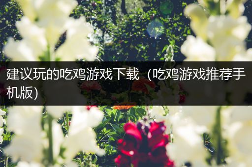 建议玩的吃鸡游戏下载（吃鸡游戏推荐手机版）