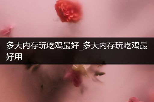 多大内存玩吃鸡最好_多大内存玩吃鸡最好用