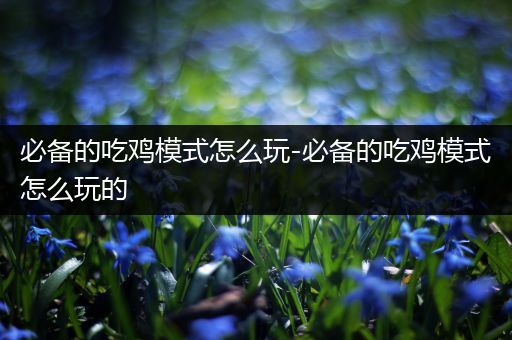 必备的吃鸡模式怎么玩-必备的吃鸡模式怎么玩的