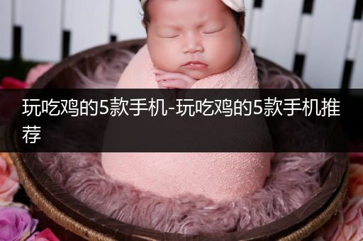玩吃鸡的5款手机-玩吃鸡的5款手机推荐