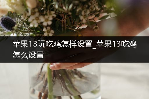 苹果13玩吃鸡怎样设置_苹果13吃鸡怎么设置