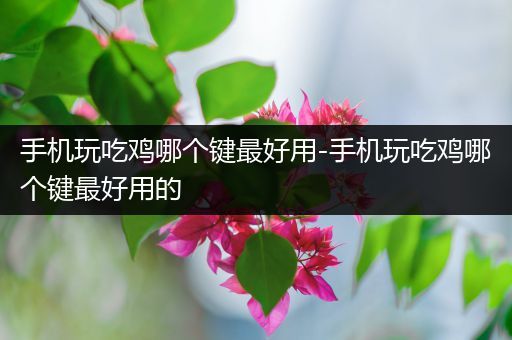 手机玩吃鸡哪个键最好用-手机玩吃鸡哪个键最好用的