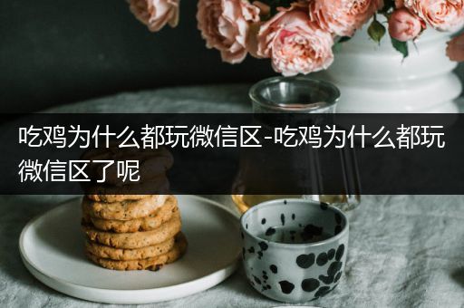 吃鸡为什么都玩微信区-吃鸡为什么都玩微信区了呢