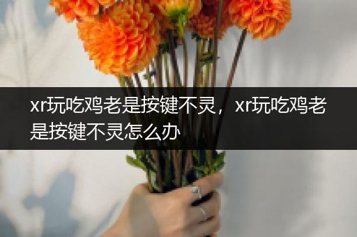 xr玩吃鸡老是按键不灵，xr玩吃鸡老是按键不灵怎么办