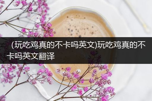 （玩吃鸡真的不卡吗英文)玩吃鸡真的不卡吗英文翻译