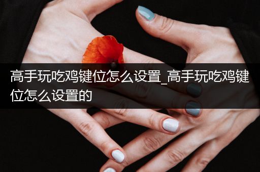 高手玩吃鸡键位怎么设置_高手玩吃鸡键位怎么设置的