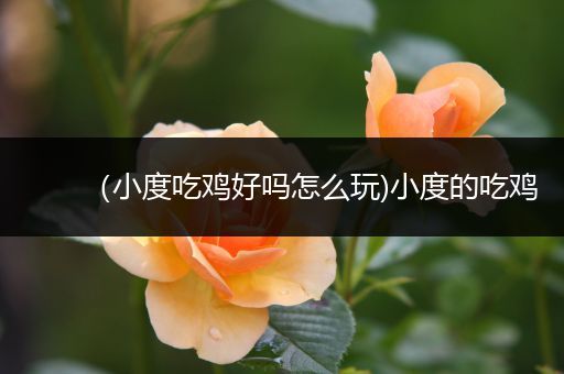 （小度吃鸡好吗怎么玩)小度的吃鸡